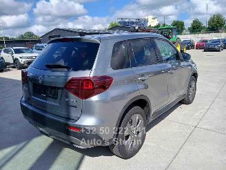 Suzuki Vitara  picture 6